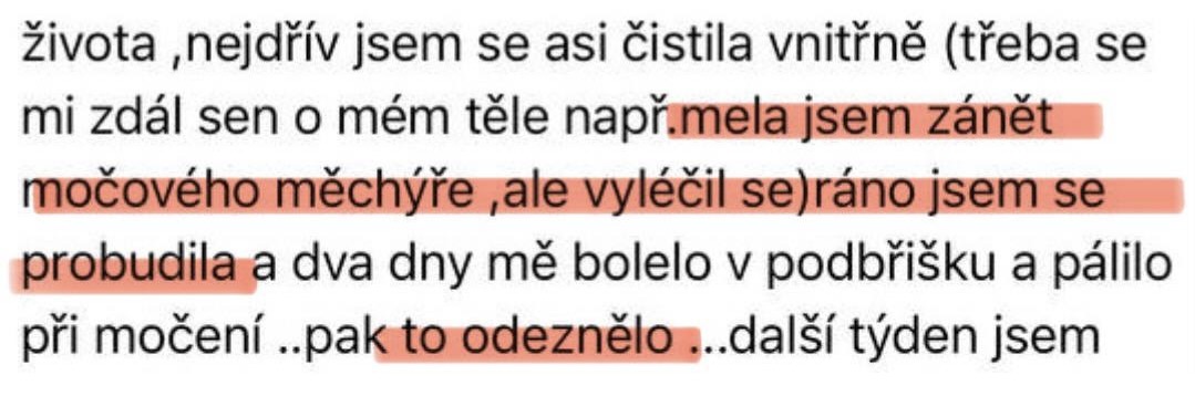 Zkušenost účastnice 6