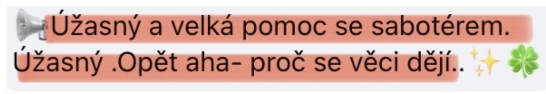 Zkušenost účastnice 8